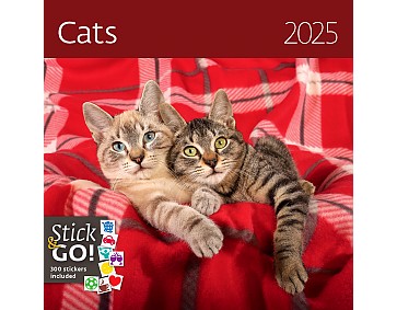 Nástěnný poznámkový kalendář 2025 Kalendář Cats