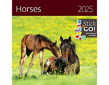 Nástěnný poznámkový kalendář 2025 Kalendář Horses