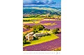 Nástěnný kalendář 2024 Kalendář Provence