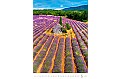 Nástěnný kalendář 2024 Kalendář Provence