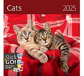 Nástěnný poznámkový kalendář 2025 Kalendář Cats