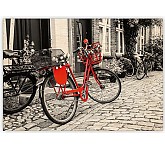 Dřevěný obraz Bicycle