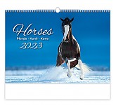 Nástěnný kalendář 2023 Kalendář Koně